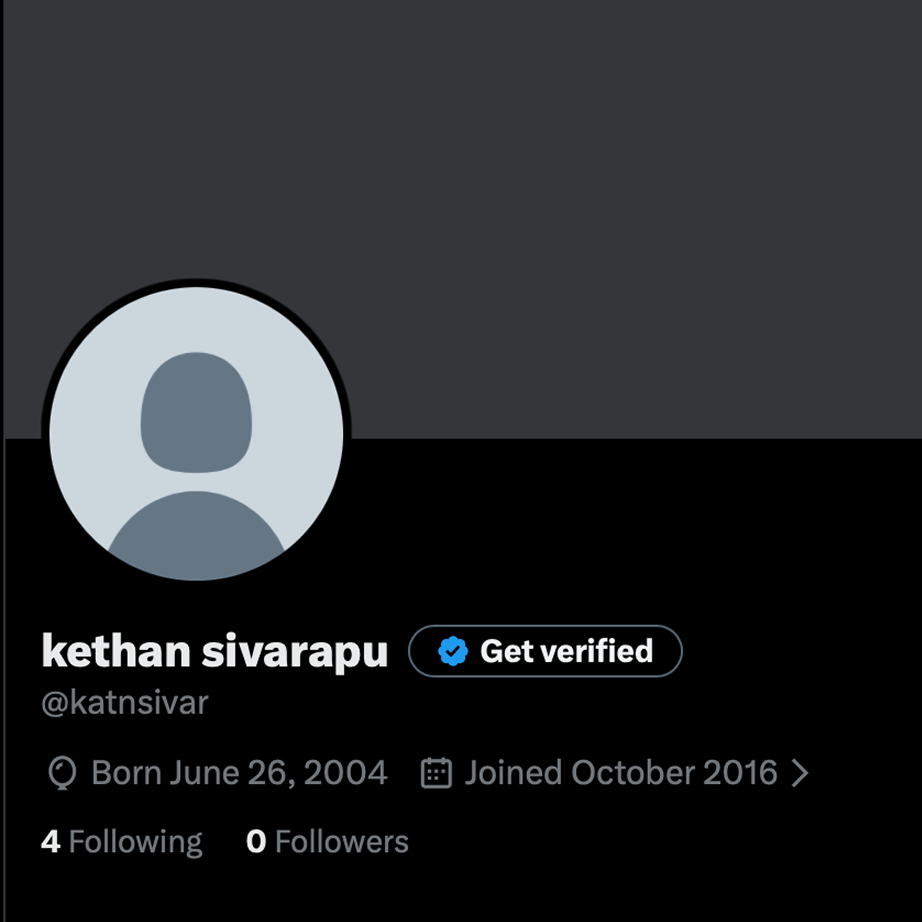 X profile preview